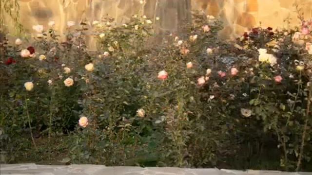 Видеоролик о моем любимом городе. Банковская Академия смотреть онлайн