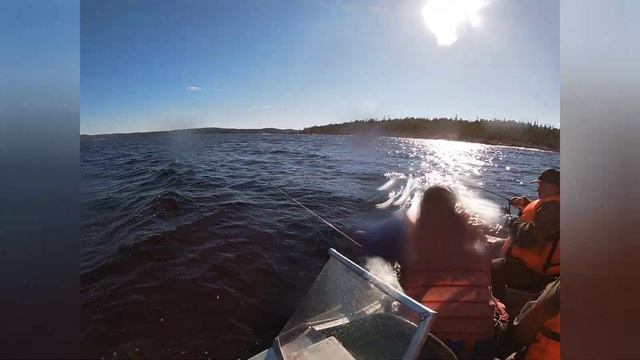 2021 г.Морская рыбалка.Отпуск на Белом море.Лов трески. смотреть онлайн