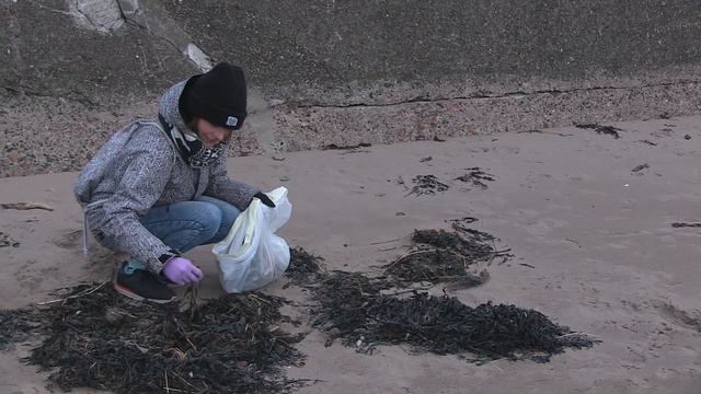 Scotland's Litter Problem смотреть онлайн