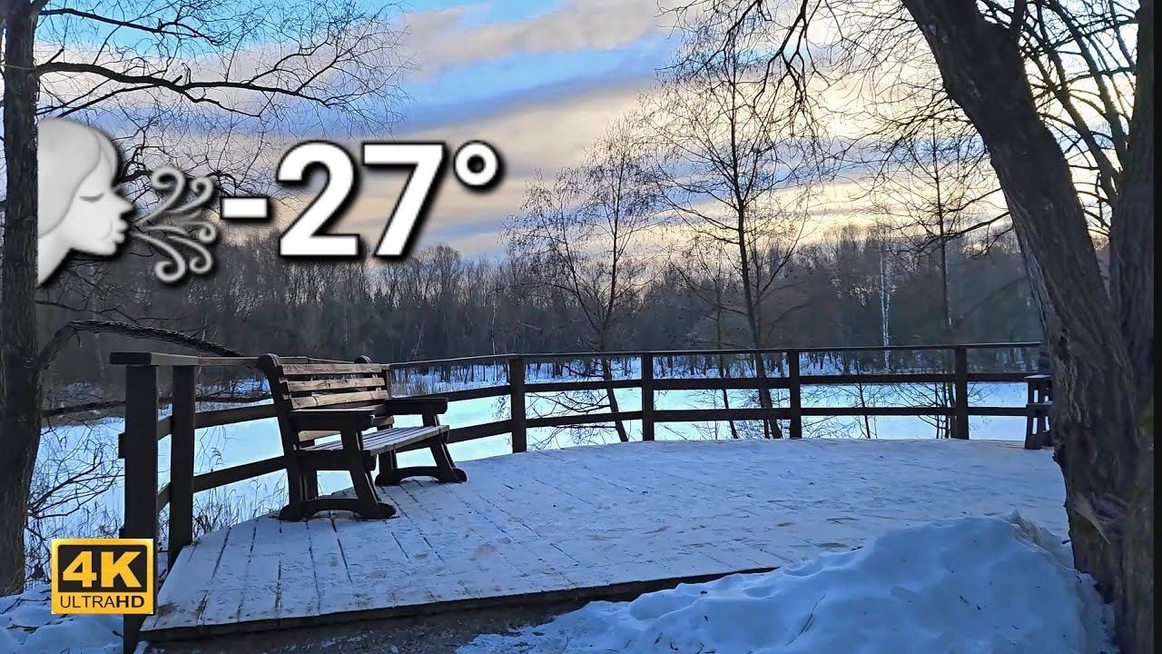 Сильные морозы в Москве. Прогулка в лесу смотреть онлайн