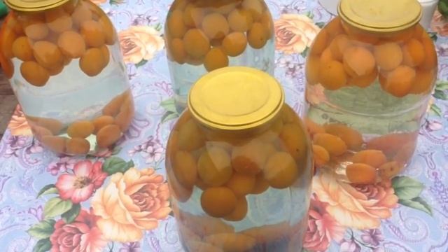 КОМПОТ ИЗ ЖЕРДЕЛЕЙ (ДИКОГО АБРИКОСА) НА ЗИМУ!!! смотреть онлайн