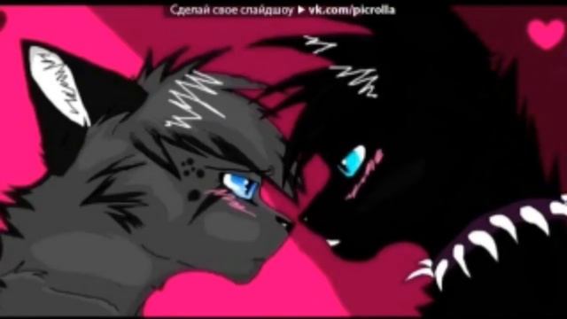 Пары котов воителей, заказ с канала E veyZi смотреть онлайн