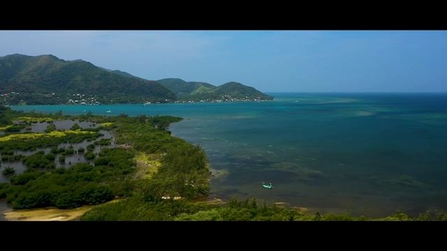 BAJÍO Odyssey - Guanaja Mangrove Restoration смотреть онлайн