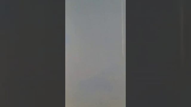 очистка семян пшеницы. смотреть онлайн