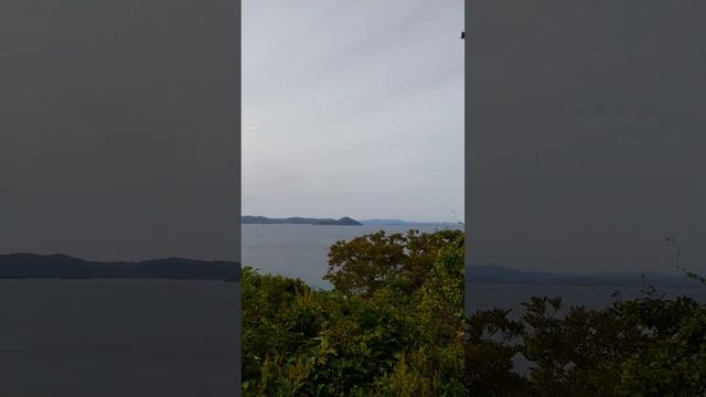 Владивосток.Морской заповедник.Паук Агриопа. смотреть онлайн