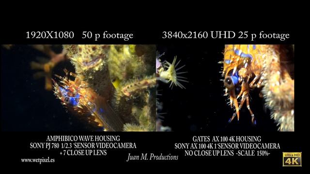 GATES AX 100 4K-SONY AX 100 4K MACRO REASONS смотреть онлайн