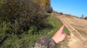 Осенняя охота на серую куропатку с подхода. Попробуй попади! Тарелочники отдыхают!
