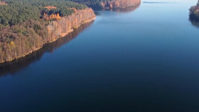 Разъяренный медведь летел прямо на молодого парня. Еще секунда и случится непоправимое! смотреть онлайн