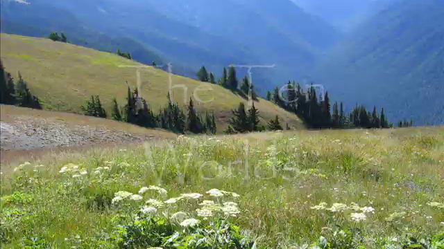 Nichiren Buddhism Chanting Music by Alan Smallwood смотреть онлайн