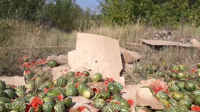 заработали на КАРТОНЕ И б\у ПОЛЕТАХ смотреть онлайн