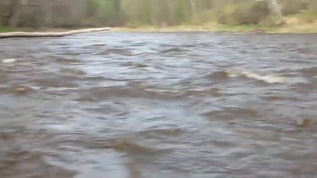 река Пола смотреть онлайн