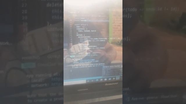 componentes de react y vue смотреть онлайн