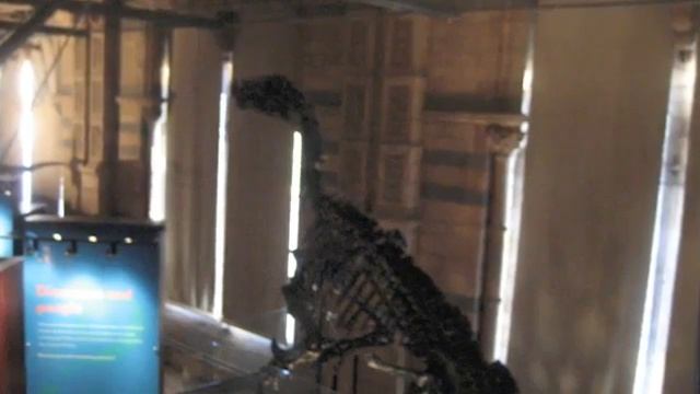 Музей естественной истории в Лондоне - Natural History Museum смотреть онлайн