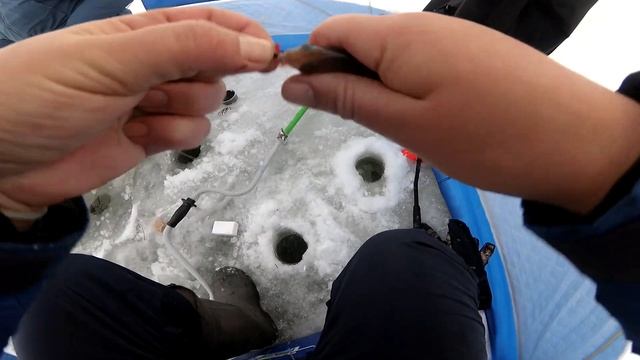 СЕЛИ В ПАЛАТКУ ЗАКОРМИЛИСЬ И НАЧАЛИ ЛОВИТЬ ПЛОТВУ по ПЕРВОМУ ЛЬДУ! смотреть онлайн