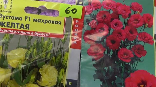 Эустома- богатый выбор смотреть онлайн
