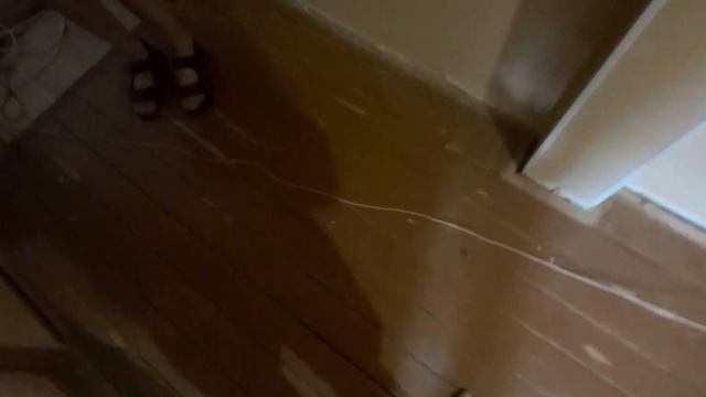 избавляемся от скрипов в деревянном полу смотреть онлайн