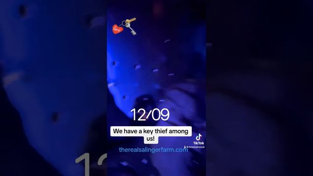 We have a key thief among us! смотреть онлайн