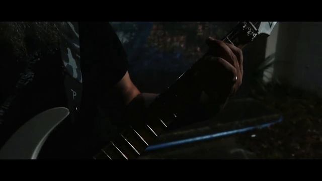 NIBIRU Harvest Guitar Playthrough 2022 смотреть онлайн