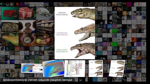Среди древних крокодиломорфов нашли несколько травоядных смотреть онлайн