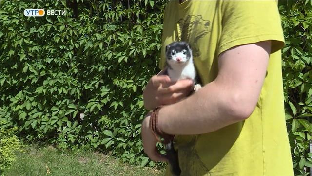 Во владимирском экзотариуме появились щенки летучей собаки и своенравная норка смотреть онлайн