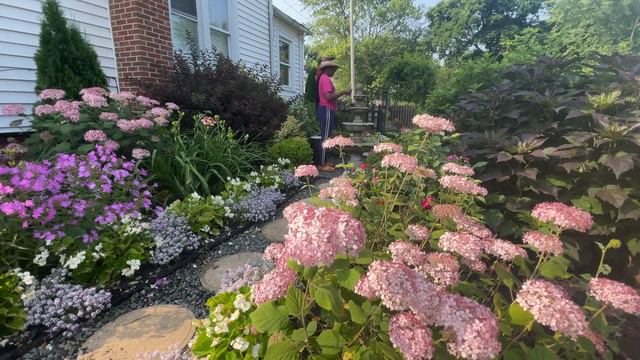 Garden Maintenance + Mini Tour Of The Fountain Area + Some planting | Gardenaddictz смотреть онлайн