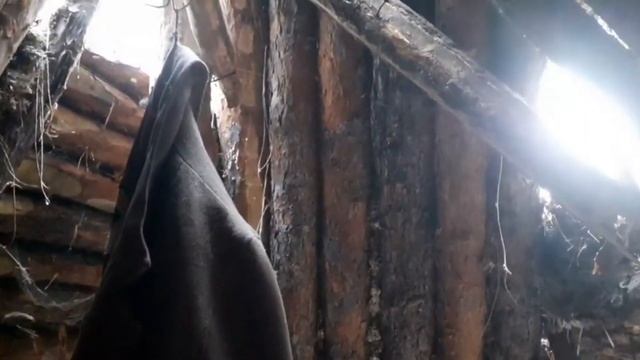 Шаман отшельник. Балаган где жил Александр Габышев в лесу. смотреть онлайн