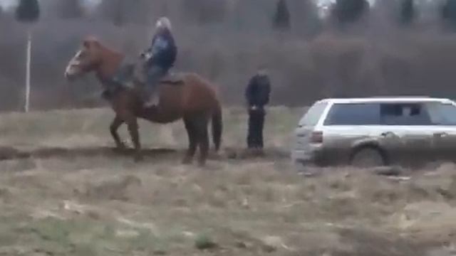 Лошадь тянет машину. Horse pulls the car смотреть онлайн