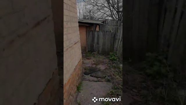 Продам дом в Русской Лозовой смотреть онлайн