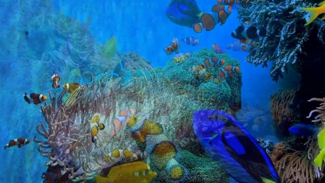 7 марта лунный календарь. Полнолуние в марте 2023. Фаза луны сегодня. 15, 16 лунные сутки