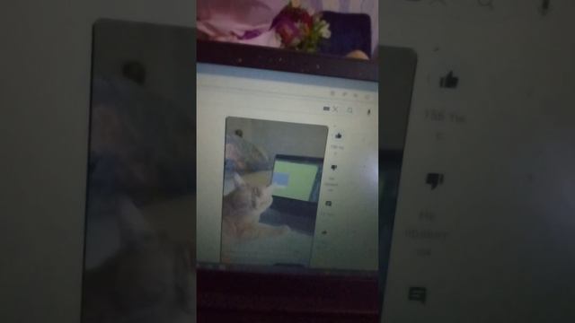 кто не спрятался я не бухой переозвучка кто не спрятался я не виноват смотреть онлайн