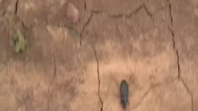 Бег по кругу! смотреть онлайн