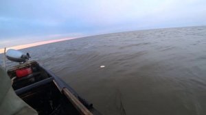 Ловля сетями, Рыбалка в Астрахани. "Большой улов".