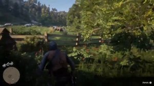 ГДЕ НАЙТИ БЫКА В RED DED REDEMPTION 2 (ГЕРЕФОРСКИЙ БЫК, ДЕВОНСКИЙ БЫК, АНГУССКИЙ БЫК)