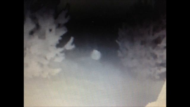 а говорят души нет, домовой? леший? смотреть онлайн