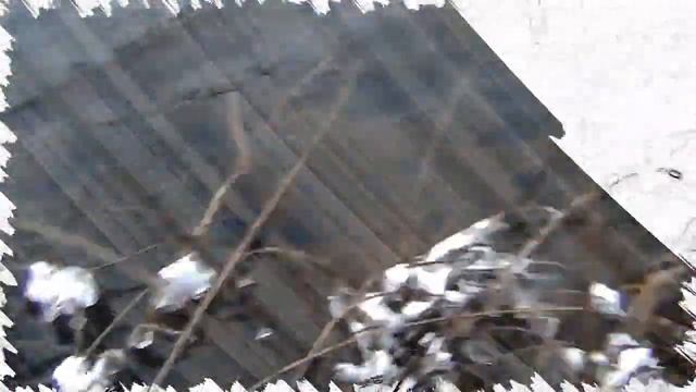 Образ жизни на севере в Амурской тайге. Заготавливаем хариуса на зиму. смотреть онлайн
