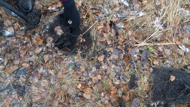 Коп 15 12 19 смотреть онлайн