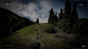 Страшные истории на ночь - ПОХОД В ЗАБРОШЕННЫЙ ЛЕС - Мистические рассказы Мистика Страшилки Scary