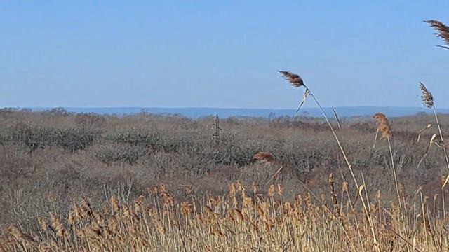 Саб отмороженный. Отвал шахты 5. Тавричанка 10.12.2022 смотреть онлайн