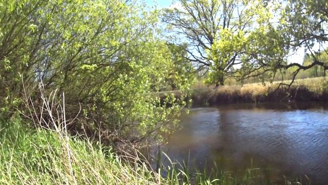 РАБИ ЭТИХ ПОКЛЕВОК СТОИЛО СЮДА ЕХАТЬ. Рыбалка на малой реке. Ловля на донку. смотреть онлайн