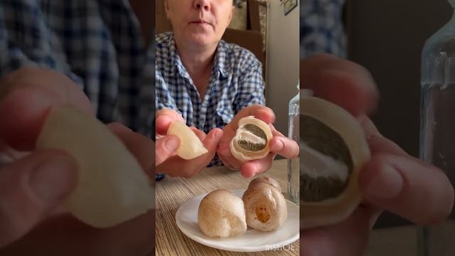 ЛЕЧЕБНЫЙ ГРИБ ВЕСЁЛКА (ДЕЛАЮ НАСТОЙКУ) смотреть онлайн