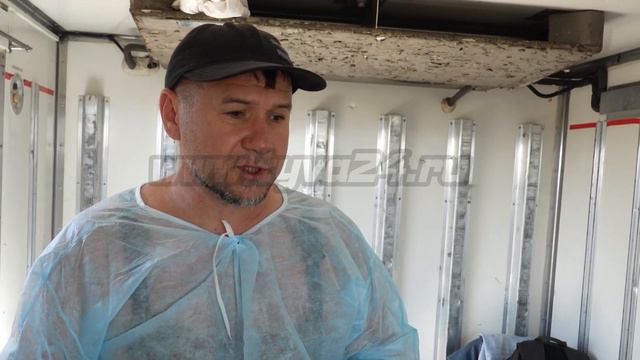 В Туве в краткие сроки появятся племенные коровы качественных пород