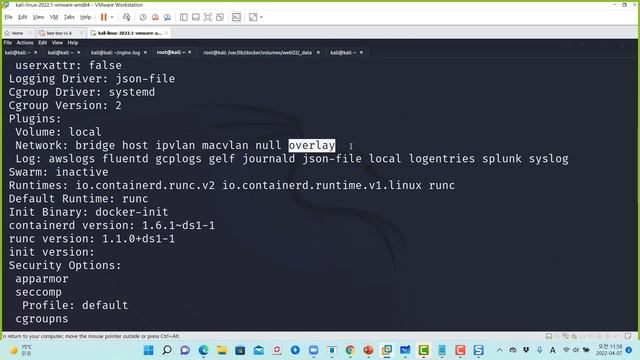 도커 (Docker) 컨테이너 네트워크 생성 및 호스트, 브리지 이해 #SK쉴더스 라이브 смотреть онлайн