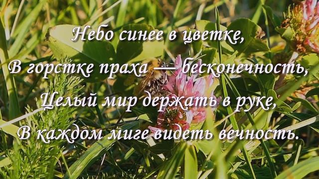 Пожелания Друзьям.ЖИВИ НА РАДОСТЬ ДРУГУ! Мудрые слова.Мудрость жизни. смотреть онлайн