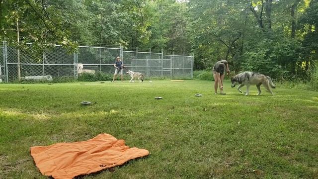 Parallel games смотреть онлайн