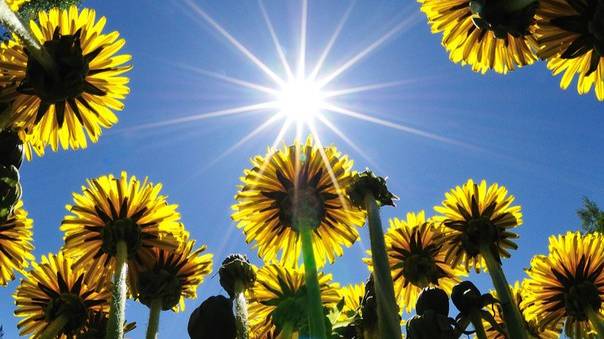 Любить издалека...