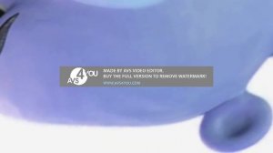 Piggy Tales Trampoline in Q Major