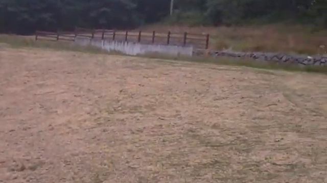 endo gran. MA hydroseed 7-10 смотреть онлайн