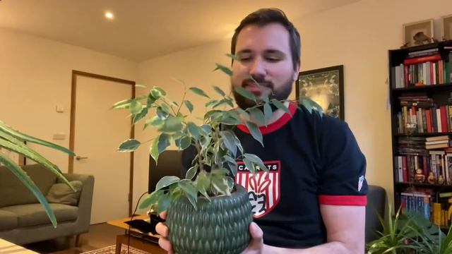 My Top 5 House Plant - Pot Combinations смотреть онлайн