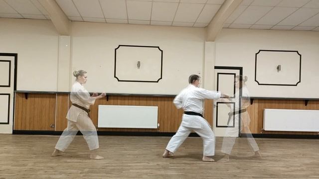Heian Shodan Bunkai Basic