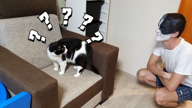 Cat's Reaction To Dad's New Face